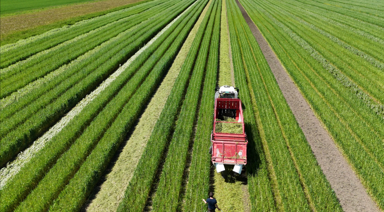 Ladewagen fährt auf fixer Fahrspur im Controlled Traffic Farming (CTF) und verteilt Mulch