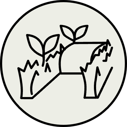 Icon Zwischenreihenmulcher von Raptrac