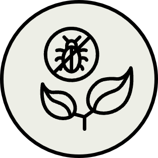 Natural pest regulation icon
