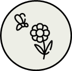 Icon Bestäuber und Nützlinge