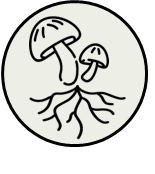 Icon Mycel, Symbiosen und Mykorrhiza-Pilze